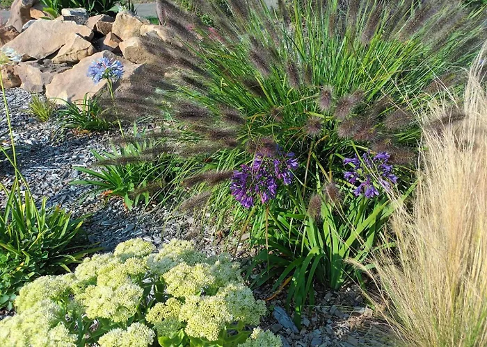 De France - Les Murmures De L'andelle * Sigy-en-Bray